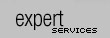 expert services